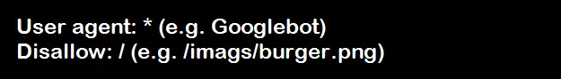 Robots.txt file syntax example for search engine crawlers
