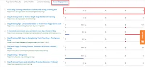 SEMScoop social engagement metrics showing shares and likes per page